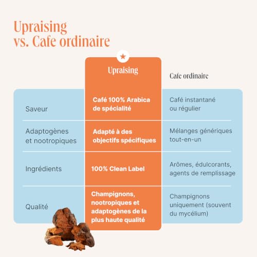 Cafe Champignon Adaptogene | Rhodiola Rosea + Chaga + Schisandra – vue 4