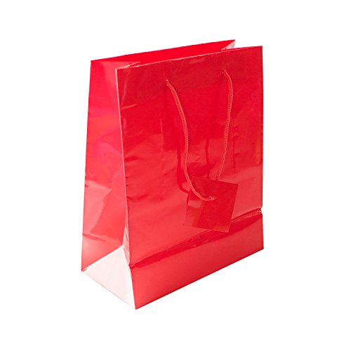 Super Z Outlet Solid Colored Blank Paper Party Gift Bags with String Handles for Birthday Favors, Snacks, Wedding Bridal, Decoration, Arts & Crafts, Event Supplies (12 Bags) (Red) Super Z Outlet Solid Colored Blank Paper Party Gift Bags with String Handles for Birthday Favors, Snacks, Wedding Bridal, Decoration, Arts & Crafts, Event Supplies (12 Bags) (Red)