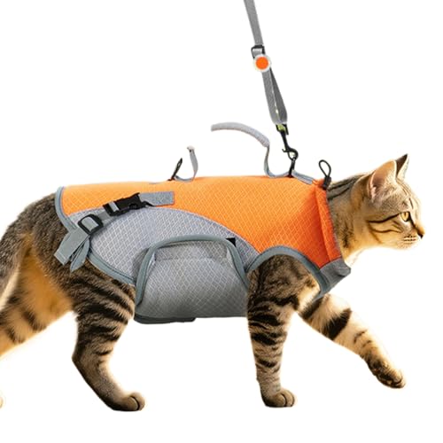 Chaleco refrigerante, chaqueta refrigerante para perros, costillas de hombro desmontables, ropa de refrigeración para cachorros, para perros pequeños y medianos para entrenamiento al aire libre