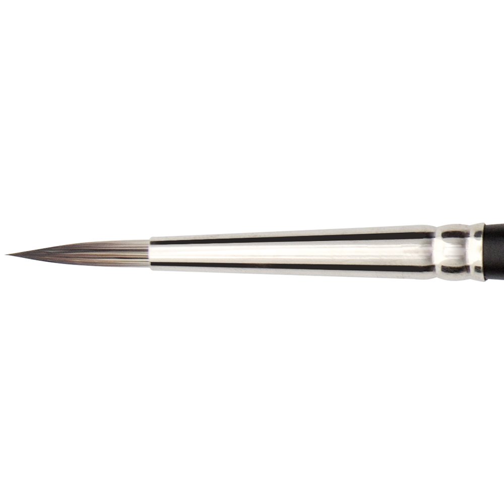 Jackson's Paint Brush, 4, Round