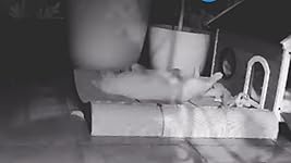 Review Image by HTEL HTEL