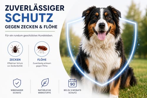 Animal Vita® Spot On Zeckenschutz für Hunde [zuverlässiger Zeckenschutz] Zeckenmittel - Zeckenschutz - Spot On für kleine Hunde (2 bis 10kg) – Ansicht 2