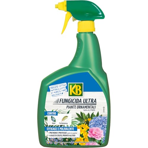 kb fungicida ultra piante ornamentali pfnpo 800 ml