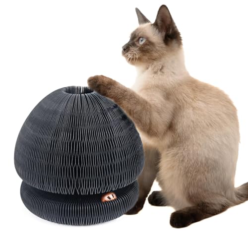 CanadianCat Company | Kratzspielzeug Champi - Kratzpappe mit Spielbällen, Spielschiene für Katzen - schwarz | Ø 16,2 x 18 cm