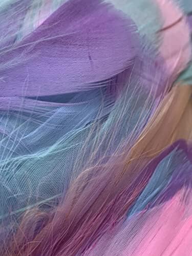 Zebra Balloons Mixed Pastel Feathers, 100 Pack