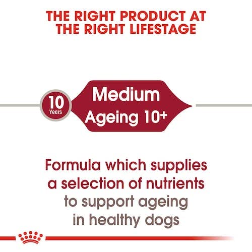 Royal Canin Medium Ageing | 10 x 140 g | Alleinfuttermittel für mittelgroße ältere Hunde | Stückchen in Soße