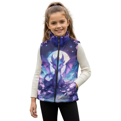 TOADDMOS Dragon Zippered Vest Stand Collar Flowers Boys Vest Size 2T Comfortable Winter Lightweight Sleeveless Fleece Jacket with Pocket Stylish Fall Outfits Fashion Clothing