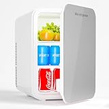 小型冷蔵庫10L 冷温庫-2℃～60℃ ミニ冷蔵庫【保冷・保温】両用 低騒音持ち運び便利 一人暮らし 省エネ室内車載両用 車中泊 キャンプ アウトドア AC100V DC12V/給電 日本語説明書