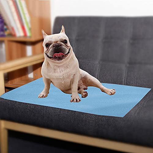 Image of Trance Trance Home Linen Medium Size Pet Sheet / Size - (100cmx70cm) 100% Waterproof with Airflow Technology, Soft, Hypo-Allergenic, Washable Pet Dry Sheet, Potty Trainer, Sky Blue