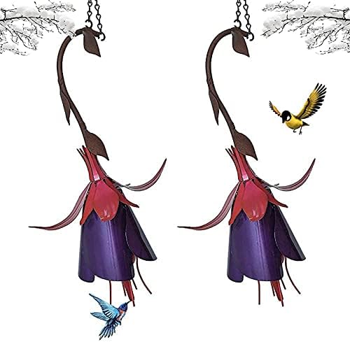 xinmiao Alimentador de colibrí de 2pcs, alimentador de Aves de Gloria de la mañana, Pequeños alimentadores de Aves de zumbidos, alimentadores de Aves al Aire Libre