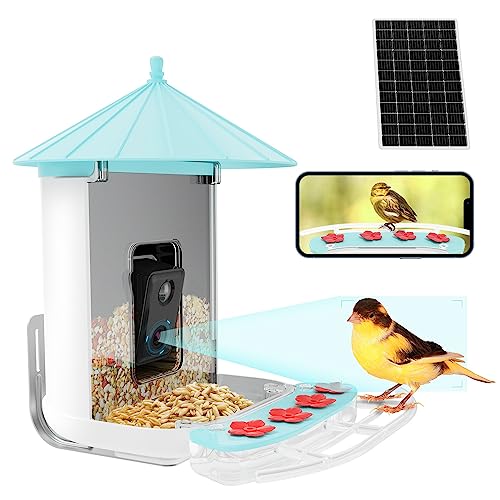 jar-owl-Smart-Bird-Feeder-Camera-Solar-Powered-1080P-HD-Camera-Auto-Capture-Bird-Videos-AI-Identify-Bird-Species-Waterproof-Outdoor-Bird-House-with-Camera-for-Bird-Lover