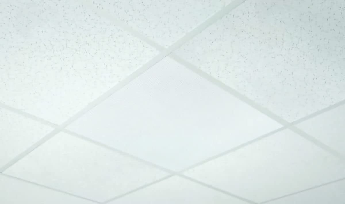 OWI Audio 2X2-HD-IW62 Full Grill HD Amplified 6