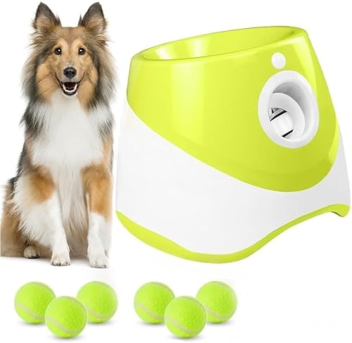 {[`[   {[  {[ {[`[ @ 3ނ̔ˋ ejX{[3/6/9t  mߋ XgX ^sP ^`^p  Op [d@ ̉^s XgX