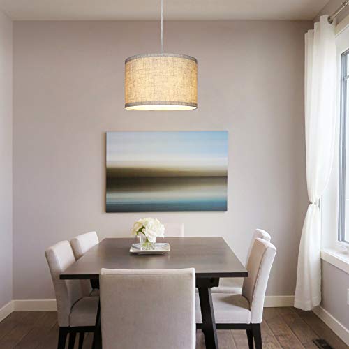 Dewenwils HPIP09A Plug In Pendant Light thumb #1