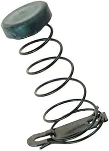 Amazon.com: Hood Pop Up Spring : Automotive