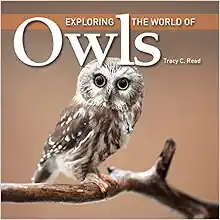Exploring the World of Owls book cover