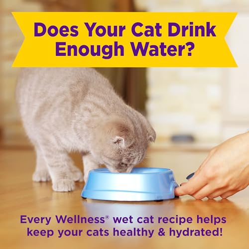 Wellness 2882 ® Appetizing Entrées™ Little-A-This, Little-A-That, Seafood & Poultry Variety Pack, Natural Wet Cat Food thumb #7
