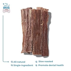   GigaBite-12-Inch-Beef-Esophagus-Dog-Treat-Strips-by-Best-Pet-Supplies-Pack-of-10-TES-12-10
