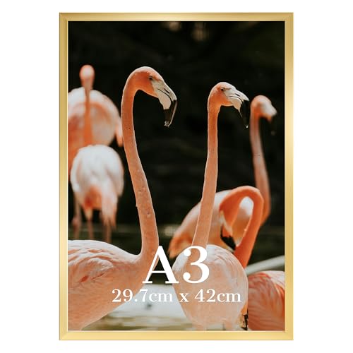 Vasemouh A3 Picture Frame Gold Wall Mounted Portrait & Landscape 29.7x42cm