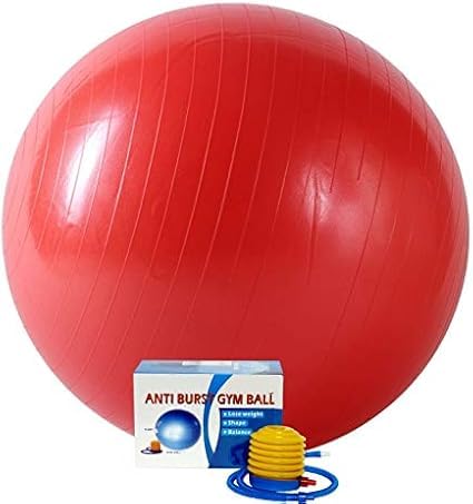 1x Gym Ball Fitness 75CM Exercise Yoga Pregnancy Anti-Burst & Extra Thick, Swiss Ball with Quick Pump, Birthing Ball for Yoga, Pilates, Fitness, Pregnancy & Labour