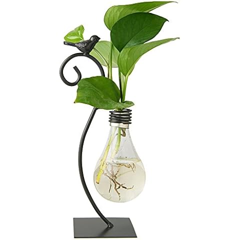 Marbrasse Desktop Glass Planter Hydroponics Vase Cover