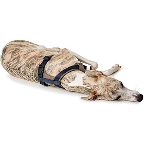HUNTER NEOPREN Hundegeschirr, marine/walnuss, XS