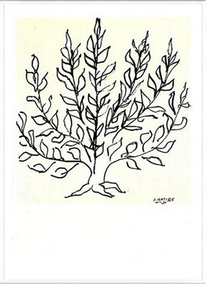 低木 1951年　リプロダクション アンリ マティス アートポスター Amazon.co.jp: ポスター アンリ マティス 低木 1951年 リ