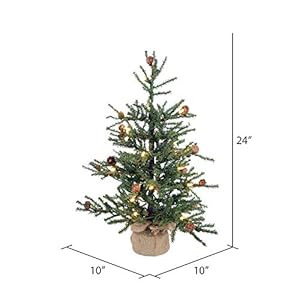 Vickerman 24" Caramel Pine Artificial Christmas Tree, Warm White Italian LED Mini Lights, Seasonal Indoor Home Decor with Decorative Burlap Base Vickerman 24 Caramel Pine Artificial Christmas Tree Warm White Italian LED Mini Lights Seasonal Indoor Home Decor with Decorative Burlap Base