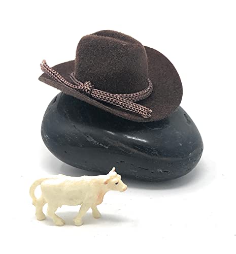 Cowboy Rock Gag Gift Pet with Adoption Certificate