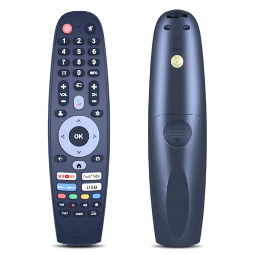 Télécommande CX-616-G pour remplacer votre boîtier de TV Kodak