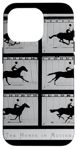 Gh[hE}CubẂuUEz[XECE[Vv X}zP[X iPhone 16 Pro p