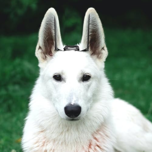 Image of Angoily Doberman Ear Posting Kit with Tape Correction Sticks Dog Ear Support and Standing Tool for Large and Small Dogs Care Device for Puppy Training