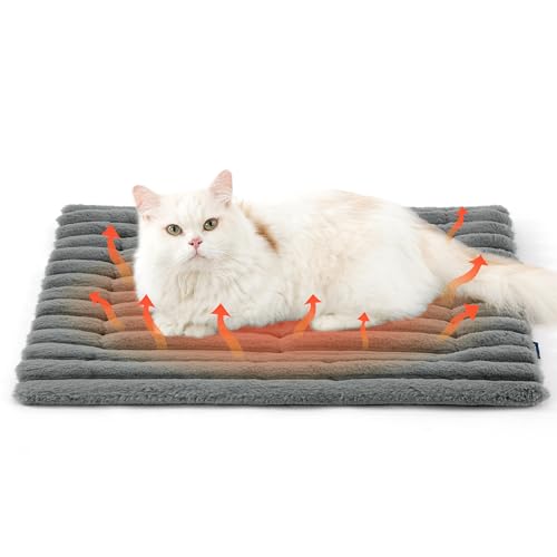 BEDSURE selbstheizende Decke für Katzen & Hunde - 61x46 cm Katzenbett waschbare wärmedecke Katze, selbstwärmende Katzendecke, wärme Hundematte...