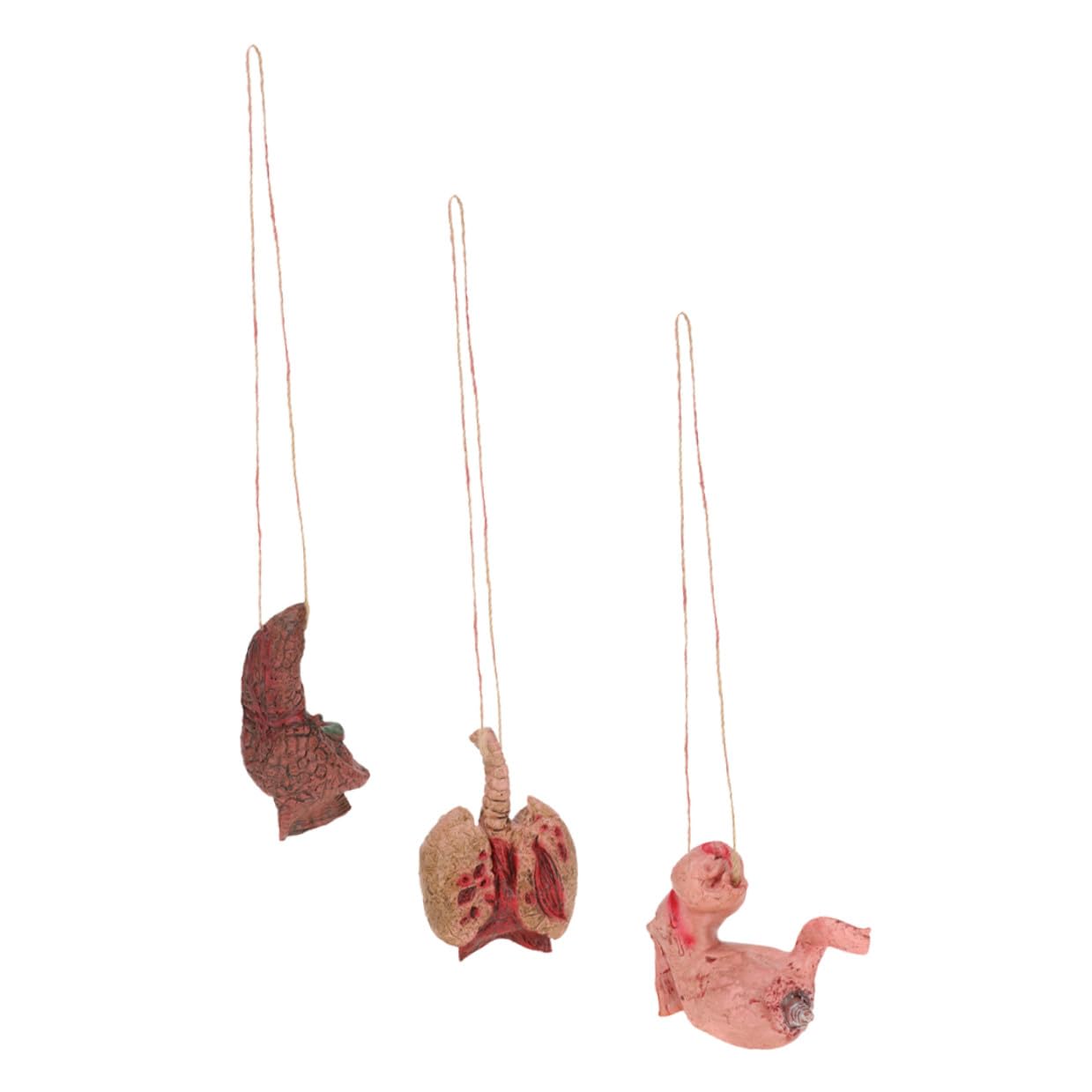 UPKOCH 3pcs Halloween Prank Body Parts Set, Realistic Fake Human Organs Decorations Including Liver and Stomach Props for Halloween Terror and Party