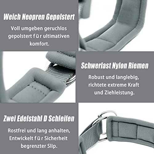 Weich Neopren Gepolstert Hundehalsband (4cm Breite) Reflektierend Hund Halsband mit Robust Nylon & Zugstopp, Bequem Zughalsband Dressurhalsband für Kleine Mittlere Große Hunde Anti-Zug Walken M,Grau