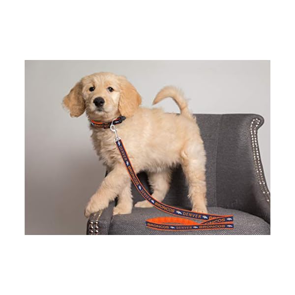 Pets First NFL Pet Leash Pets First NFL Pet Leash
