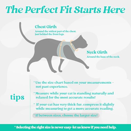 Image of rabbitgoo Cat Harness and Leash Set, Step-in Soft Vest, Turquoise & Green