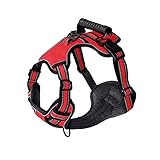 3. Geeignet: Dies wird zu einem charmanten Modeaccessoire für Ihr Kleid, Rock, T-Shirt, Daunenjacke, modische Kleidungsaccessoires, westliche Kleidung, geeignet für verschiedene Anlässe wie Hochzeiten, Partys, Veranstaltungen und so weiter.