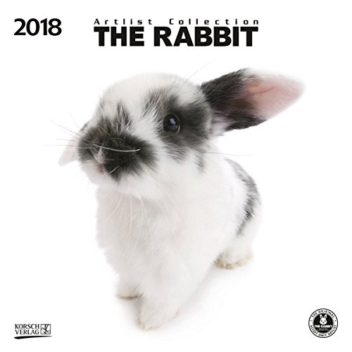 The Rabbit 2018: Broschürenkalender mit Ferienterminen. Süße Nahaufnahmen von Kaninchen mit edlem