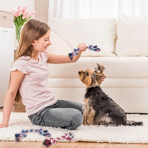 CATOR 4-teiliges Set welpen Spielzeug, beißfestes Zahnen welpen Spielzeug, Kauen für mittlere und große Hunde und Welpen welpen Spielzeug.