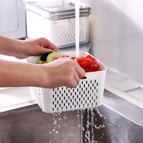 Image of The Better Home (Pack of 4 Food Containers | Storage Box for Fridge | Vegetable Fruit Boxes | Refrigerator Storage Box | Containers With Lid | Handheld Strainer Basket| Transparent