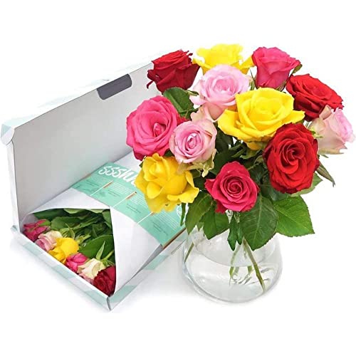 Blumen Schicken Valentinstag Die 15 besten Produkte im Vergleich Hausbauberater Ratgeber