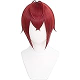 ABUNDANTDOODS コスプレウィッグ コスチューム用小物 専用ネットと櫛付 ハロウィン 仮装 (リドル・ローズハート) Medium