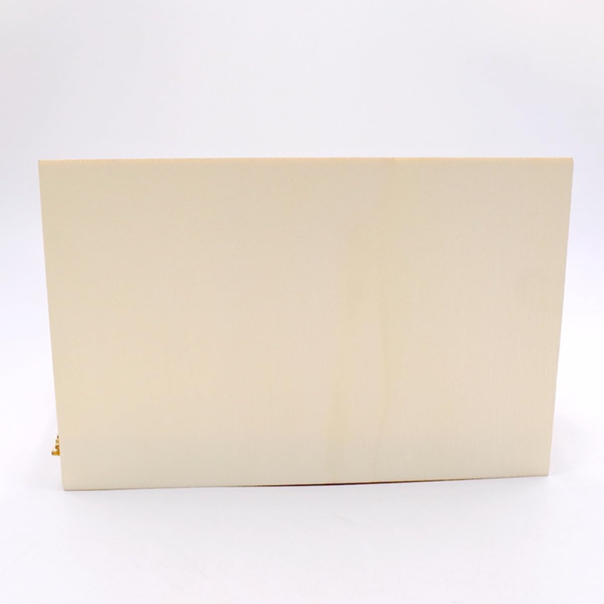 10 piezas Láminas de Madera sin Terminar Rectangulares Paneles de Madera para Manualidades DIY Accesorios Decorativos Seguros y Duraderos para Bricolaje y Educación
