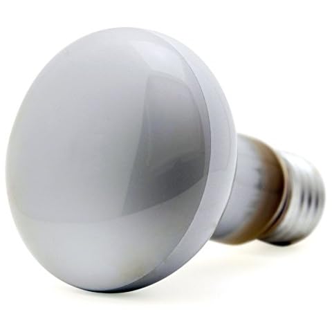 10 Pack of 60W R63 Pearl Reflector Bulbs Cover