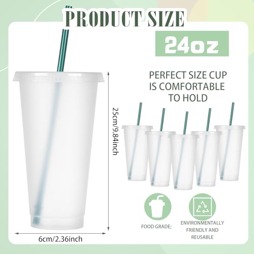 Bokon Tumbler with Straw and Lid Bulk 24 oz Reusable Plastic Cups with Lids and Straws Water Bottle Travel Mug Cup Tumblers Bulk for Cold Hot Drinks Parties Birthdays Adults(Clear,15 Sets)