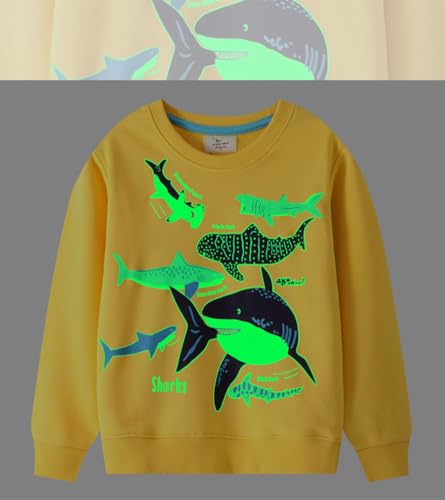 Boys Sweatshirts Casual Sweatshirts Cotton Sweatshirts Long Sleeve T-shirts Crew Neck Cartoon Tops for Boys-449 5