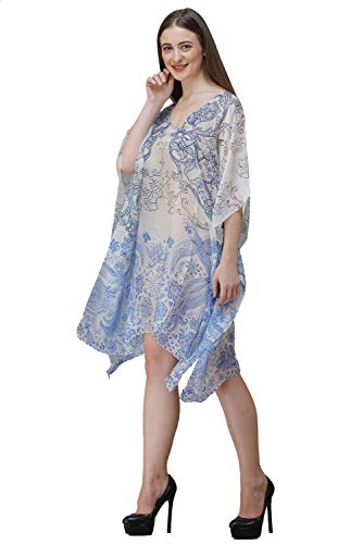 Image of RAVI RAJORIA Georgette Digital Printed Beach Wear Kaftan Blue Free Size R800 | Multi Color 2
