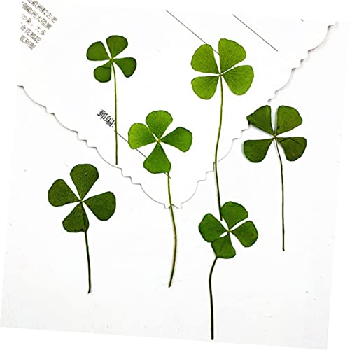 Decoraciones secas de trébol de 4 hojas para manualidades miniatura 5