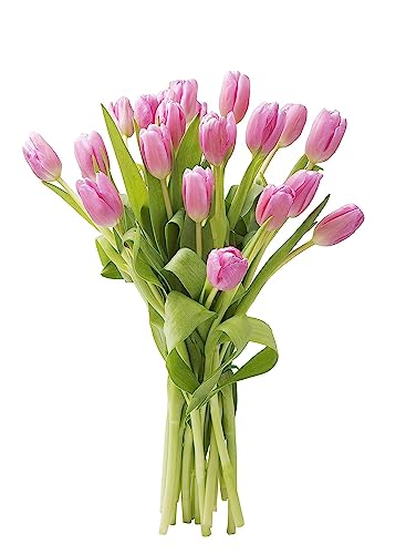 Image of KaBloom-20 Pink Tulip Bouquet,Flowers for Valentine, Mother's Day
